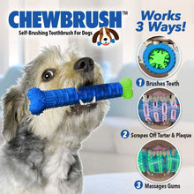 Load image into Gallery viewer, Dogs Chew brush - Large
